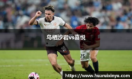 鸟栖沙岩vs喜悦